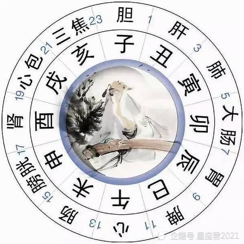 年亥时农历算命(亥时出生不需要算命)-第1张图片-周易占卜网 - 免费算命_生辰八字算命_八字合婚姻