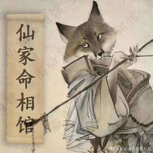 不给本命年的人算命(本命年虎年算命)-第1张图片-周易占卜网 - 免费算命_生辰八字算命_八字合婚姻