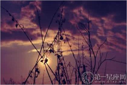 肓人算命顺口溜(麻衣看相算命顺口溜)-第1张图片-周易占卜网 - 免费算命_生辰八字算命_八字合婚姻