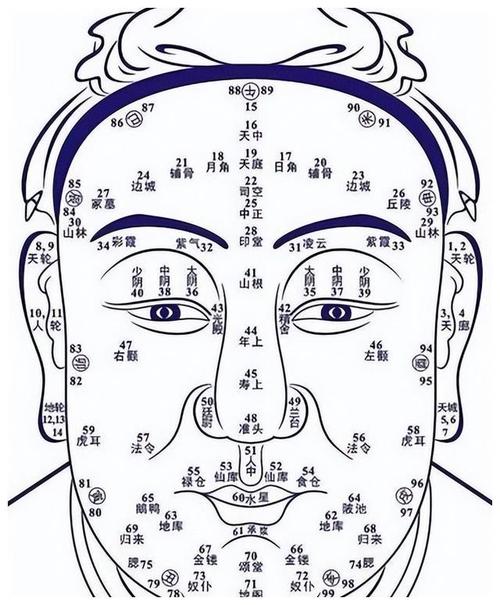 算命牙相(骨相算命对照表)-第2张图片-周易占卜网 - 免费算命_生辰八字算命_八字合婚姻