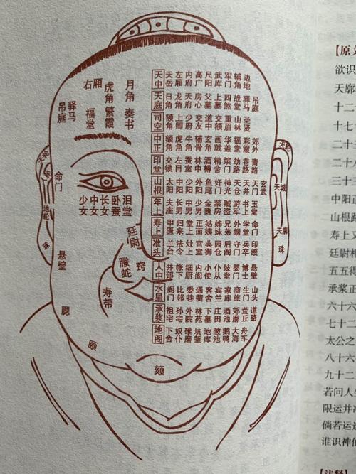 抚州哪里有算命的(抚州哪里算命比较准)-第2张图片-周易占卜网 - 免费算命_生辰八字算命_八字合婚姻