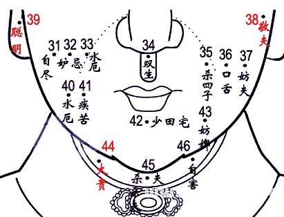 脸部长字看相算命图-第1张图片-周易占卜网 - 免费算命_生辰八字算命_八字合婚姻