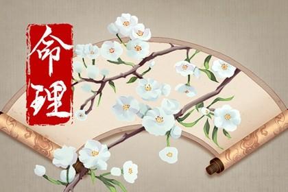 日主癸已算命先生-第1张图片-周易占卜网 - 免费算命_生辰八字算命_八字合婚姻