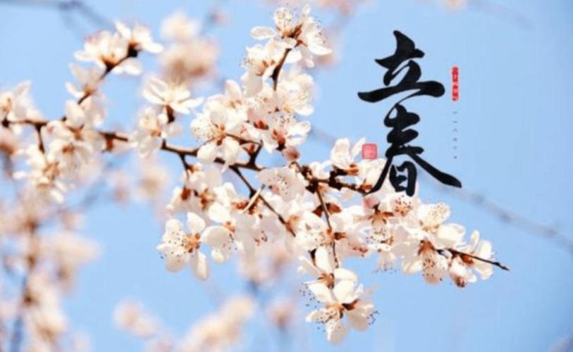 算命属相是按立春(算命立春后年前属相)-第1张图片-周易占卜网 - 免费算命_生辰八字算命_八字合婚姻