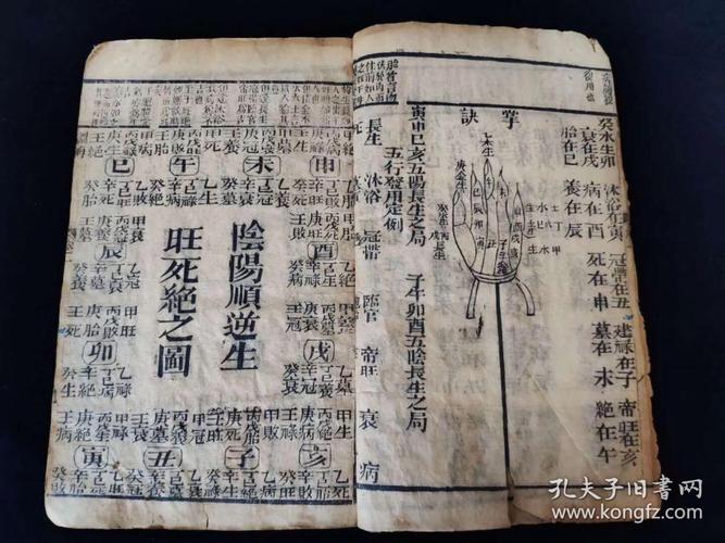 算命老来命运两白-第1张图片-周易占卜网 - 免费算命_生辰八字算命_八字合婚姻