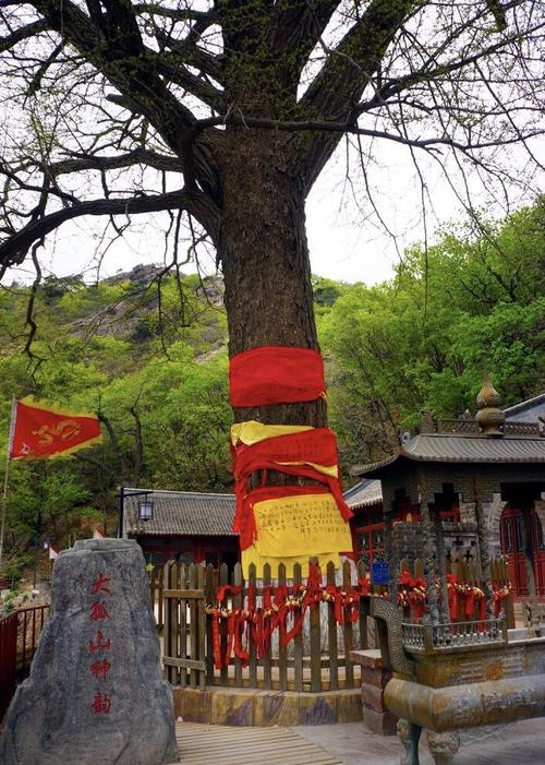 丹东东港大孤山算命(东港大孤山寺庙简介)-第1张图片-周易占卜网 - 免费算命_生辰八字算命_八字合婚姻