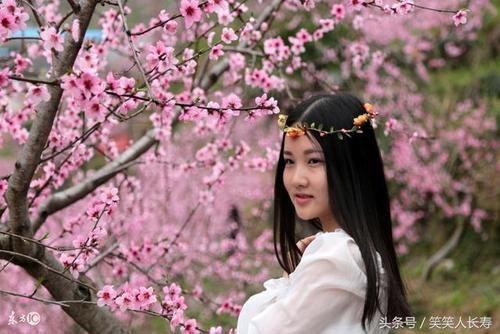 算命说老公有桃花劫(算命说有桃花劫是什么意思-第1张图片-周易占卜网 - 免费算命_生辰八字算命_八字合婚姻