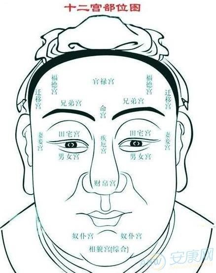 女算命图解大全(女性手纹算命图解大全)-第2张图片-周易占卜网 - 免费算命_生辰八字算命_八字合婚姻