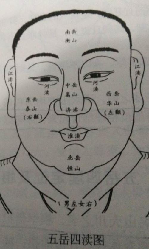 算命说命尖(算命说命里有二个虎)-第3张图片-周易占卜网 - 免费算命_生辰八字算命_八字合婚姻