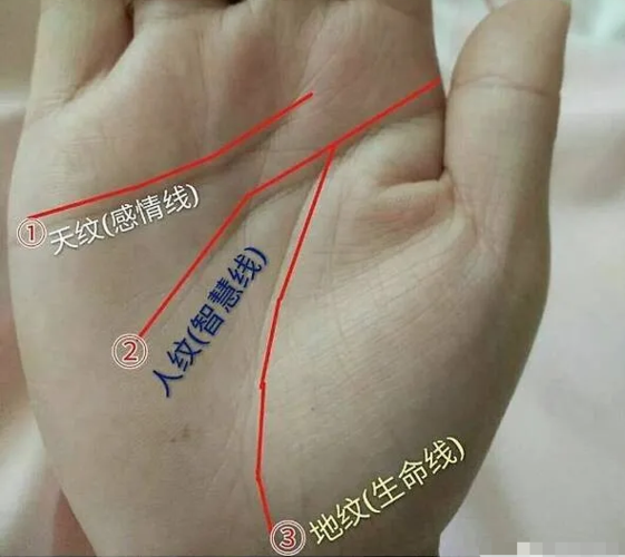 算命跟看手相的结果不一样(为什么网上算命结果-第2张图片-周易占卜网 - 免费算命_生辰八字算命_八字合婚姻