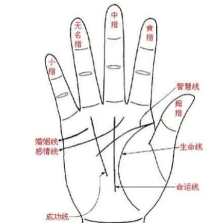算命跟看手相的结果不一样(为什么网上算命结果-第1张图片-周易占卜网 - 免费算命_生辰八字算命_八字合婚姻