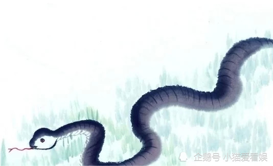 算命说不能吃蛇(算命说不能吃血是什么意思)-第1张图片-周易占卜网 - 免费算命_生辰八字算命_八字合婚姻