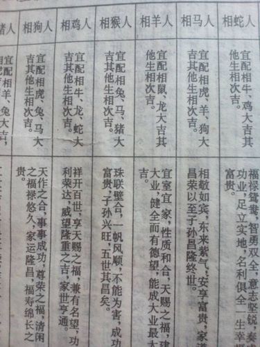 算命年月初五晚上十点时-第1张图片-周易占卜网 - 免费算命_生辰八字算命_八字合婚姻
