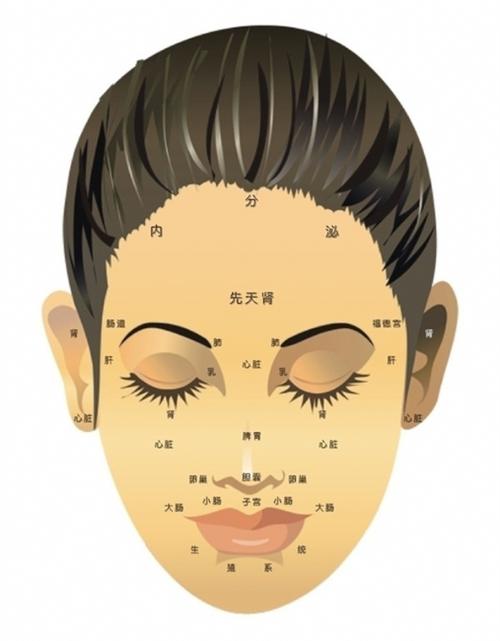 看大脑图算命-第1张图片-周易占卜网 - 免费算命_生辰八字算命_八字合婚姻