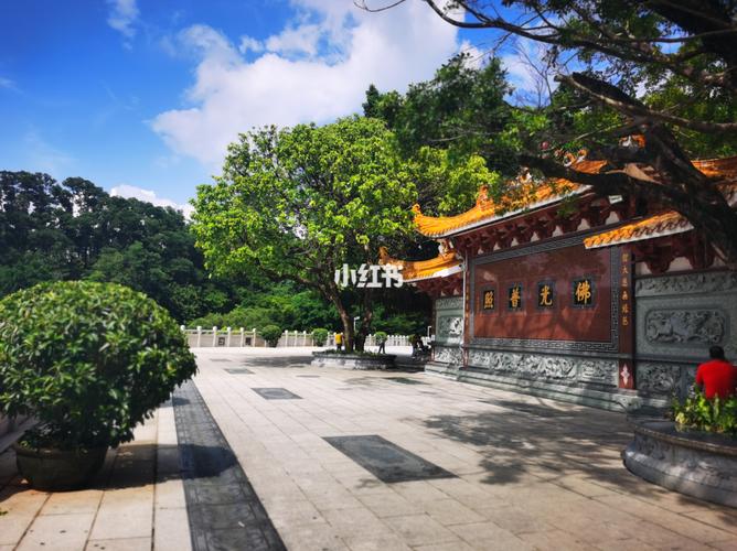 仙湖弘法寺有算命的吗-第1张图片-周易占卜网 - 免费算命_生辰八字算命_八字合婚姻
