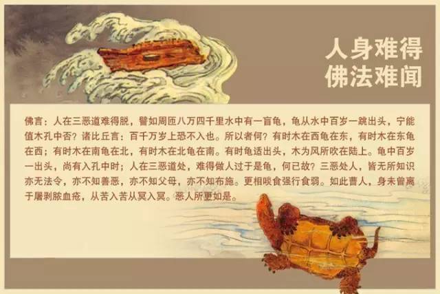 佛学造诣高算命(为何佛学大师不算命)-第2张图片-周易占卜网 - 免费算命_生辰八字算命_八字合婚姻