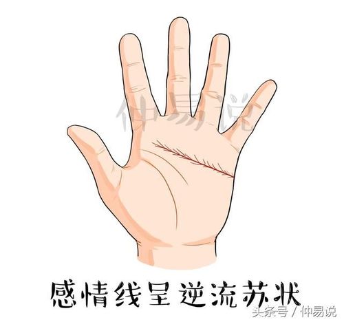 看左手算命(左手看手相算命)-第1张图片-周易占卜网 - 免费算命_生辰八字算命_八字合婚姻