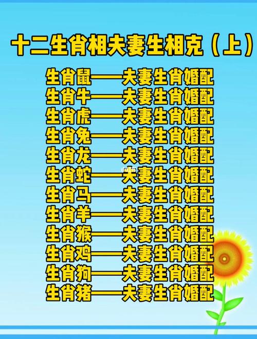 算命中的穿害是什么意思是什么-第2张图片-周易占卜网 - 免费算命_生辰八字算命_八字合婚姻