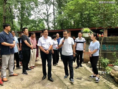 信阳彭家湾算命姓顾(彭家湾算命地址)-第1张图片-周易占卜网 - 免费算命_生辰八字算命_八字合婚姻