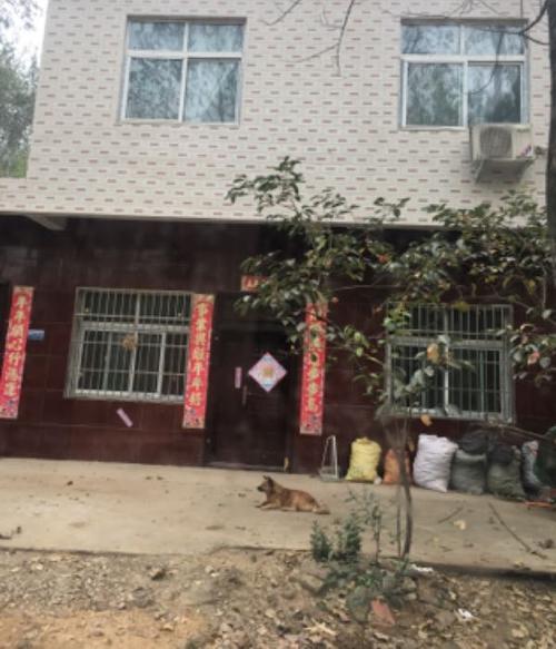 信阳彭家湾算命姓顾(彭家湾算命地址)-第2张图片-周易占卜网 - 免费算命_生辰八字算命_八字合婚姻