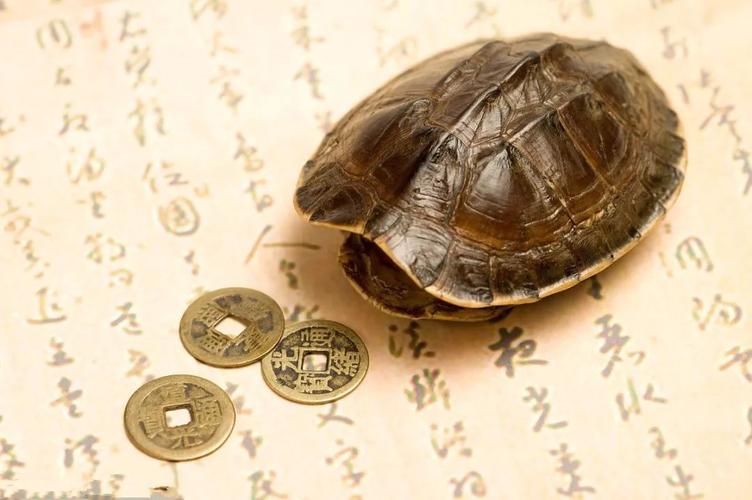算命说我适合去远方发展-第2张图片-周易占卜网 - 免费算命_生辰八字算命_八字合婚姻
