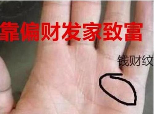 算命的看手相说会离婚(看手相说我会离婚)-第2张图片-周易占卜网 - 免费算命_生辰八字算命_八字合婚姻