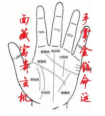 算命的看手相说会离婚(看手相说我会离婚)-第1张图片-周易占卜网 - 免费算命_生辰八字算命_八字合婚姻