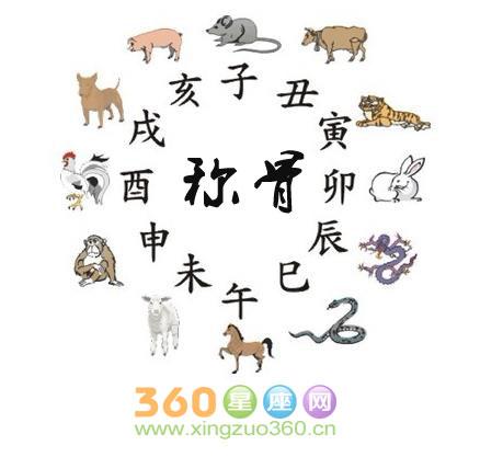诸葛亮称骨算命女(诸葛亮称骨算命表女)-第2张图片-周易占卜网 - 免费算命_生辰八字算命_八字合婚姻