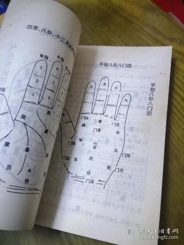 八字算命教程全集(八字算命教程83集视频讲座)-第1张图片-周易占卜网 - 免费算命_生辰八字算命_八字合婚姻