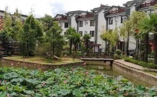 大营街算命