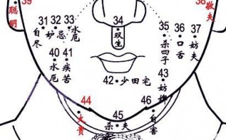 脸部长字看相算命图