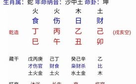 卜易居免费排盘算命(卜易居免费排盘系统)