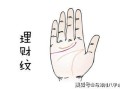 手上斗算命图解大全(手上的斗和簸箕算命)