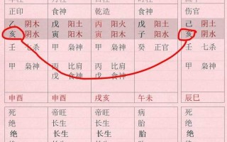 算命里的比什么意思是什么意思是什么(算命什么