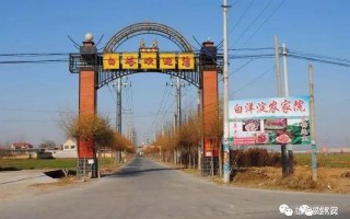 容城白塔算命(容城白塔鸦鸣) (2)