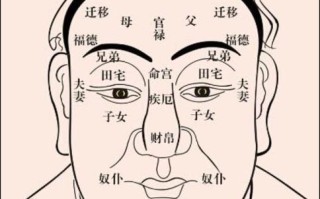 算命说顺中失帛服什么意思