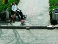亓书算命