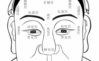 额头男人面相算命图解大全(男人眉毛面相算命图