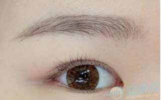 螺旋眉面相算命图解(看女人五官面相算命图解
