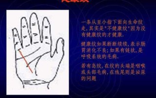 量指算命天柱之骨