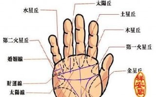 手纹算命的(手纹算命)