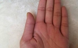加微信看手纹算命