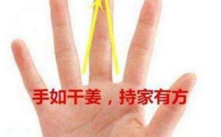 扫手文算命(怎么用手算命)