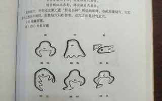算命大师明月龙(香港算命大师白什么龙)