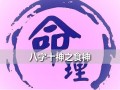 八字十神全解八字算命(八字大运详细讲解如何看