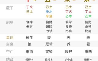 算命走枭运是什么意思(算命走丙运是什么运)