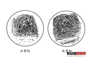 花心指纹数算命(算命的说对象花心可信吗)