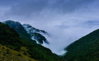 随州历山算命的在哪
