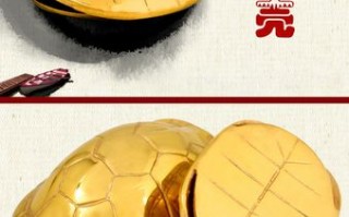 龟壳算命(龟壳算命图片)