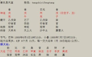 生辰八字算命入门基础(生辰八字算命入门书籍
